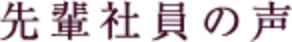 先輩社員の声